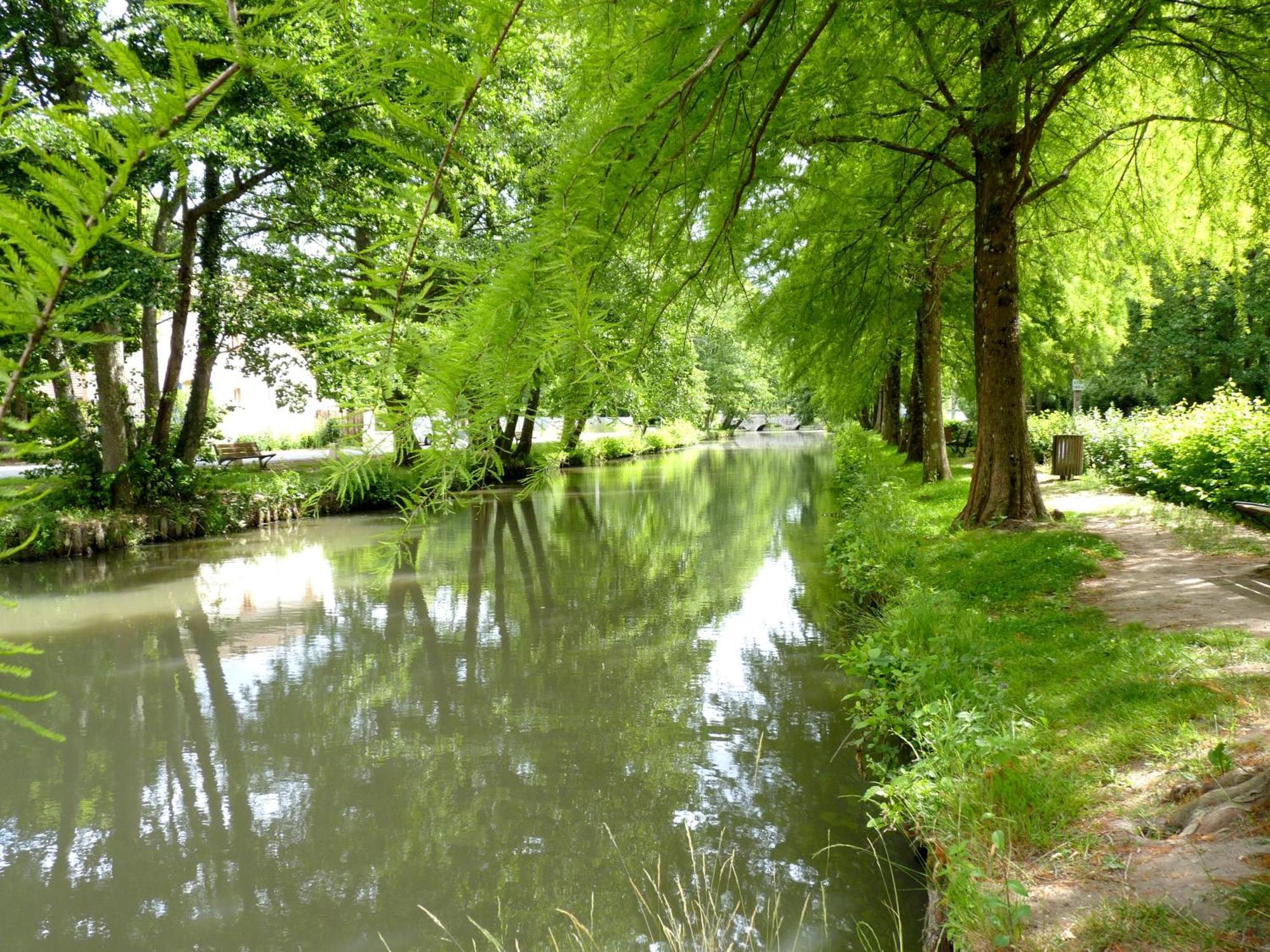 Vila La Petite Maison Solognote La Ferté-Saint-Aubin Exteriér fotografie